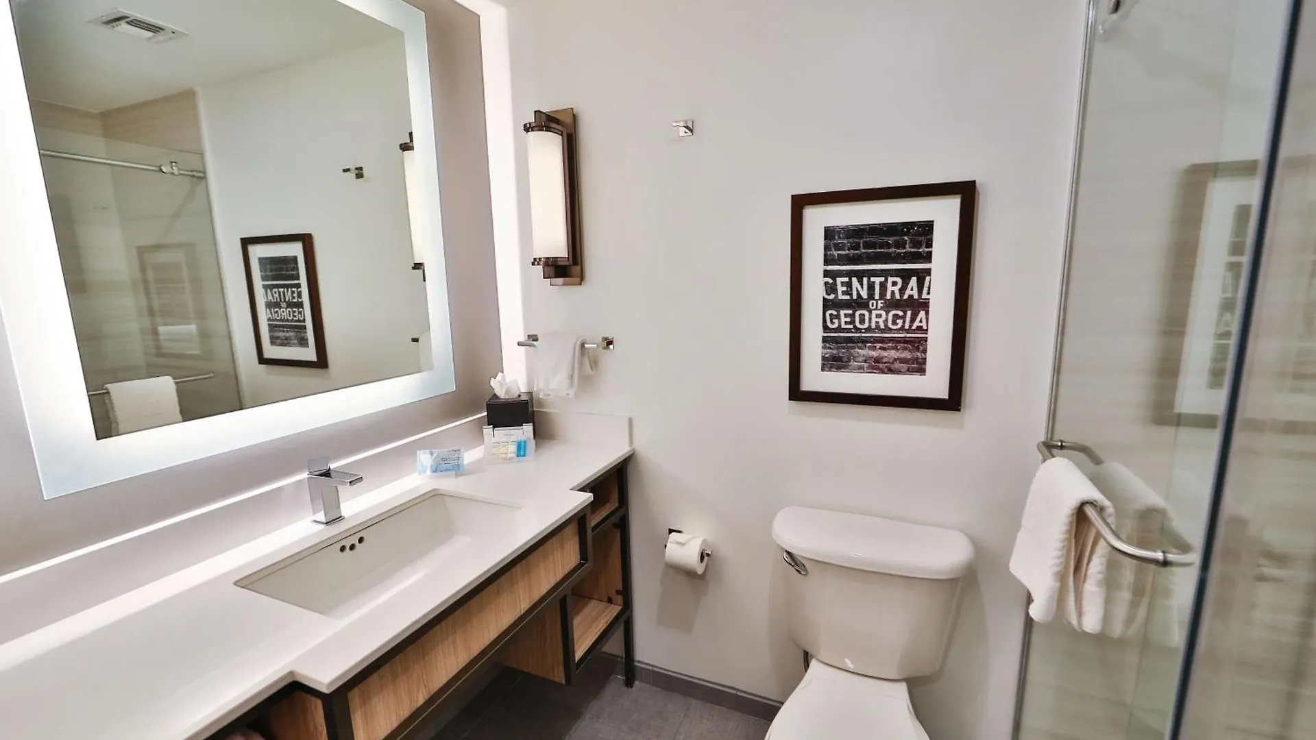 Hilton Garden Inn Savannah Historic District United States